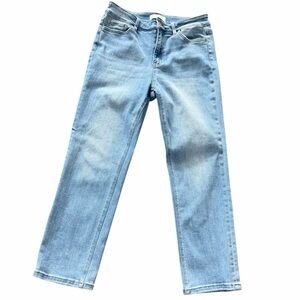 Vervet Blue High Rise Jeans
